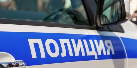 Чемодан с человеческим телом обнаружили в Воронцовском парке