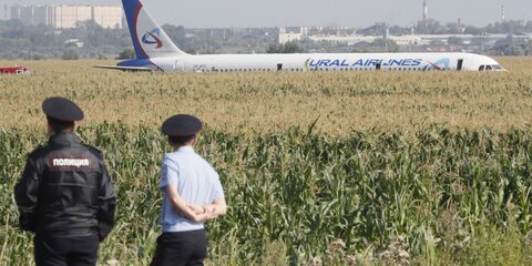 Две трети пассажиров аварийно севшего A321 сдали билеты