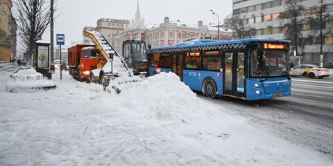 Коммунальные службы Москвы готовы к устранению последствий снегопада