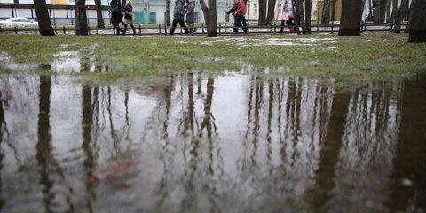 Синоптики обещают жителям Москвы аномально теплый март