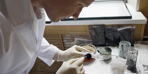 В Подмосковье ликвидирована лаборатория по изготовлению амфетамина