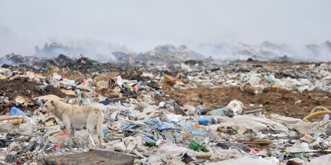 Дмитровский мусорный полигон в Подмосковье закроют до конца года