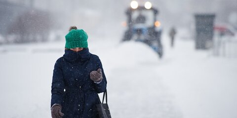 Высота снежного покрова в Москве приближается к 30 сантиметрам