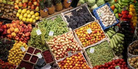 В Москву не пустили более тонны зараженных фруктов и овощей из СНГ