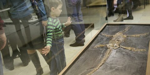 В Дарвиновском музее научат играть с пауками