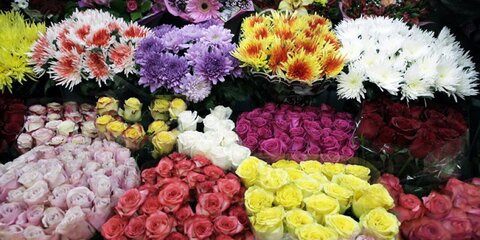 Немерюк опроверг возможность возникновения дефицита цветов в Москве
