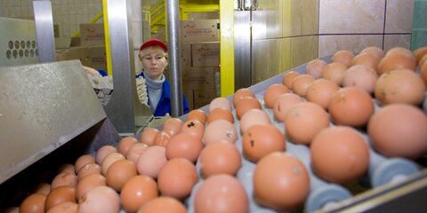 Как правильно выбрать свежие яйца