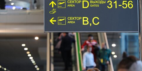 Прокуратура проводит проверку по факту задержки рейсов в Домодедове и Внукове