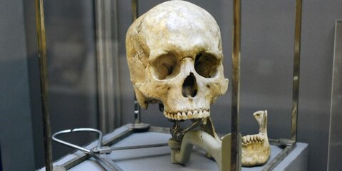 Ученые расшифровали геном древнего североафриканского человека