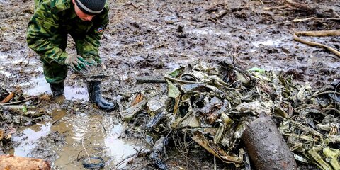 Две авиабомбы найдены в лесу подмосковного Домодедова