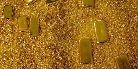 В Подмосковье у пенсионерки украли сейф с драгоценностями и слитком золота