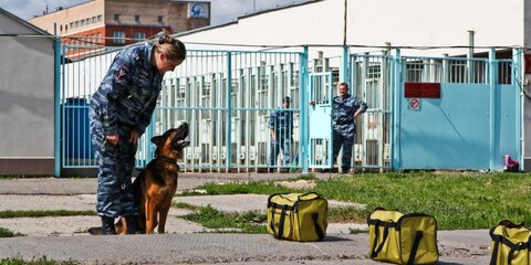 МВД России подарит французской полиции служебного щенка Добрыню