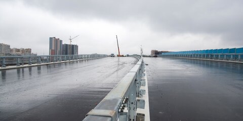 Два моста построят в районе Мневниковской поймы