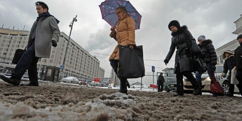 В Мосгордуме предложили отказаться от реагентов на тротуарах