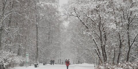 В среду москвичей ожидает мокрый снег и порывистый ветер
