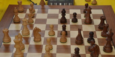 Москвичи смогут сыграть в шахматы с гроссмейстерами на Тверской площади