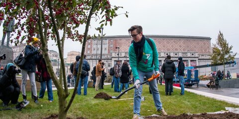 Более 245 деревьев посадят в Москве до 25 мая