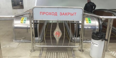 Московский метрополитен закупит современные ограждения