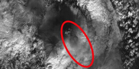 Опубликован космический снимок извержения Ключевского вулкана