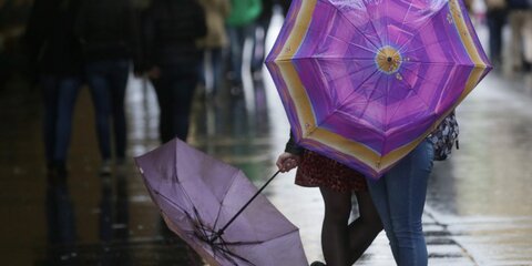 Пасмурная погода с небольшими дождями ожидается в Москве на выходных