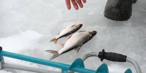 МЧС проинформирует рыбаков о толщине льда