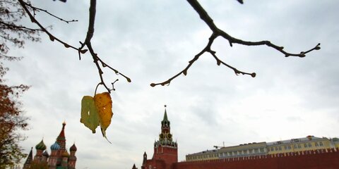 В московском регионе в ночь на четверг ожидаются первый снег и гололедица