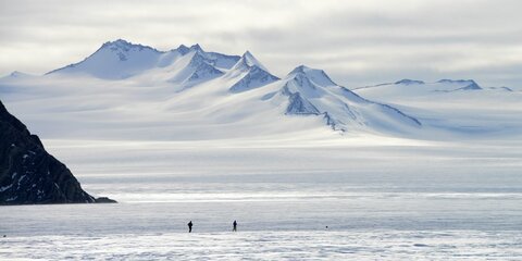 Крупнейший в мире морской заповедник появится в Антарктике