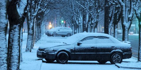 Мокрый снег с дождем ожидается в Москве в пятницу