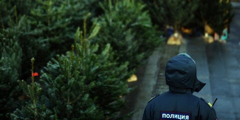 Сотрудники автомойки похитили новогодние елки на угнанном авто