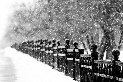 Лидия Широнина