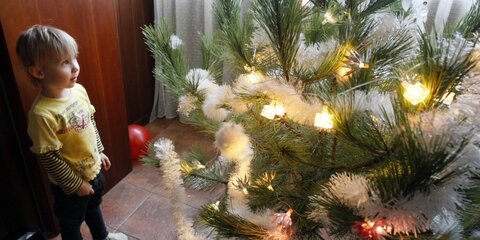 Акцию по утилизации новогодних елок в Москве продлили до 19 января