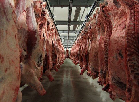 Россия и Мексика договорились о поставках мяса