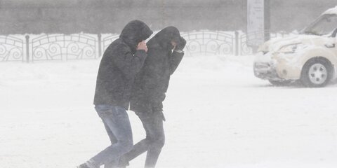 Сильный ветер и мокрый снег ждут москвичей в четверг