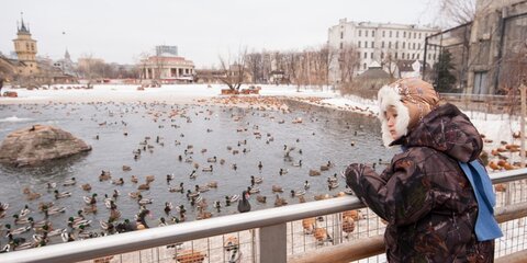 Московский зоопарк перейдет на летний режим работы с 1 апреля