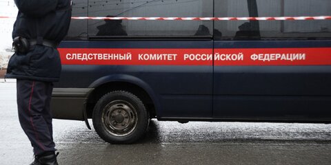 Уголовное дело возбудили в Москве по факту призыва к массовым беспорядкам