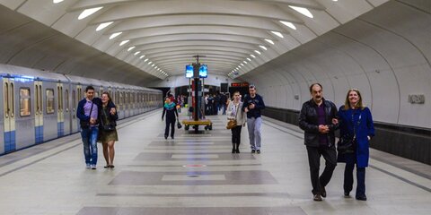 Поезда на серой ветке метро ходят с увеличенным интервалом