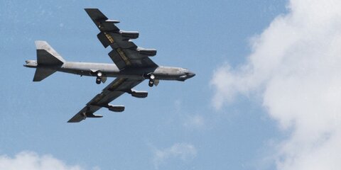 СМИ: бомбардировщик ВВС США за 112 млн долларов могла сбить птица