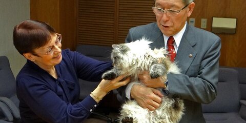 Японский губернатор подружился с котом, подаренным Путиным