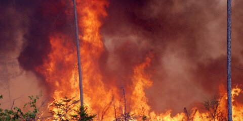 Путин в Иркутске обсудит ликвидацию лесных пожаров в Сибири и на Урале