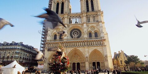 Стрельба с участием полицейского произошла у собора Парижской Богоматери