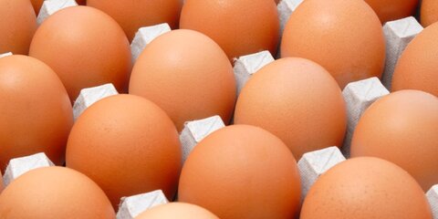 В Нидерландах задержали двух человек по делу о фипрониле в куриных яйцах