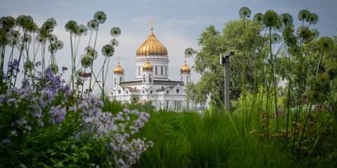 Синоптики прогнозируют последнюю летнюю неделю в центральной России
