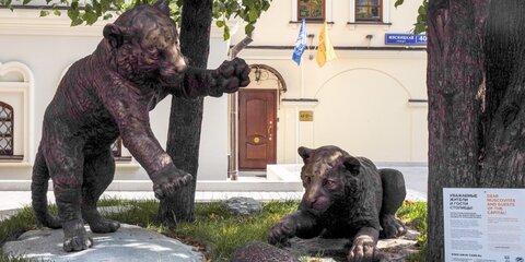 Скульптуру амурских тигрят установят на Мясницкой улице