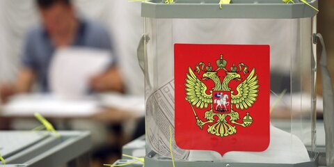 Общественница Волынец подала документы для участия в выборах президента