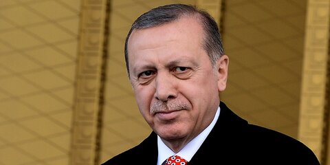 Турция не ставит перед собой цель захватить территории Сирии – Эрдоган