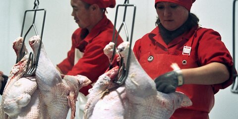 Россельхознадзор разрешил поставки мяса птицы из США и Канады