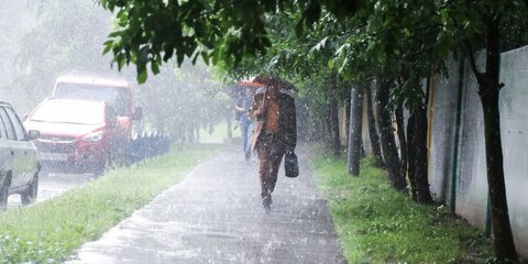 Москвичей предупредили о сильном дожде в ночь на пятницу