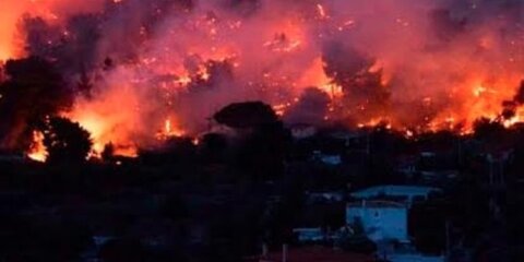 Количество жертв лесных пожаров в Греции возросло до 91 человека