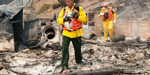 Ущерб от пожаров в Калифорнии может превысить $100 млн