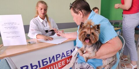 Явка на выборах мэра Москвы составила 23,86% на 18:00
